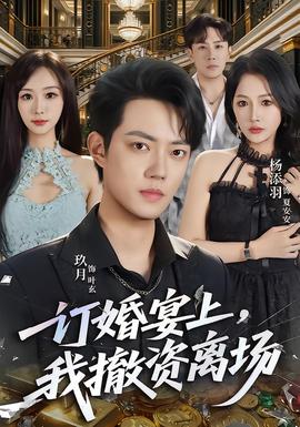 一订婚宴上，我撤资离场经典短剧